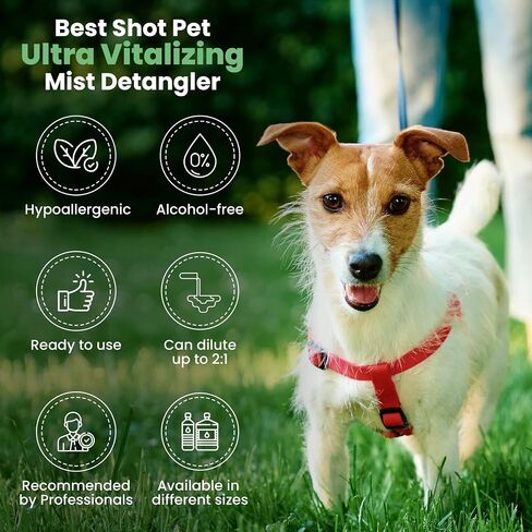 Best Shot Ultra Vitalizing Mist Detangler, 16 oz in Kuwait