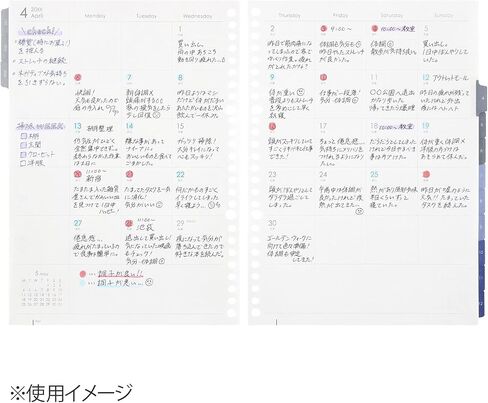 Maruman LD376-25 Notebook, Refill, 2025 B5, Loose Leaf Diary, Monthly + Weekly, 26 Holes, Begins with January 2025 in Saudi Arabia