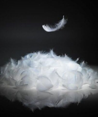 Bulk Goose Down Feather Stuffing & Fill – Hypoallergenic Pillow Filling, Repair, Restuff, Fluff for Couch Cushions, Comforters, Jackets5/95-1Lb DIY in Kuwait