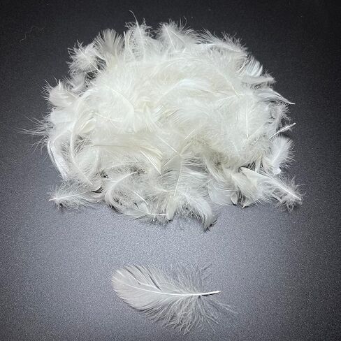 Bulk Goose Down Feather Stuffing & Fill – Hypoallergenic Pillow Filling, Repair, Restuff, Fluff for Couch Cushions, Comforters, Jackets5/95-1Lb DIY in Kuwait