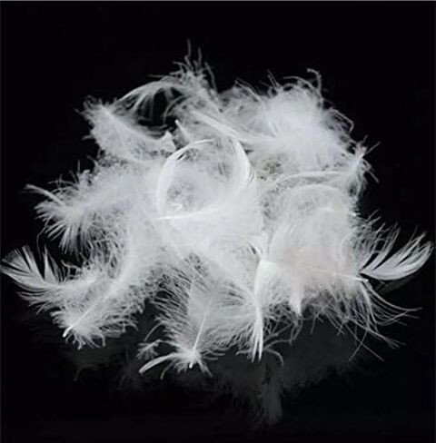 Bulk Goose Down Feather Stuffing & Fill – Hypoallergenic Pillow Filling, Repair, Restuff, Fluff for Couch Cushions, Comforters, Jackets5/95-1Lb DIY in Kuwait