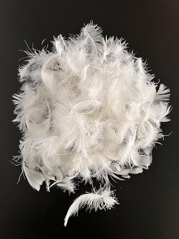 Bulk Goose Down Feather Stuffing & Fill – Hypoallergenic Pillow Filling, Repair, Restuff, Fluff for Couch Cushions, Comforters, Jackets5/95-1Lb DIY in Kuwait
