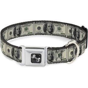Buckle-Down Seatbelt Buckle Dog Collar - 100 Dollar Bills - 1" Wide - Fits 15-26" Neck - Large