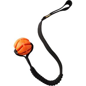 Dingo Natural Rubber Ball for Dog tug Toy with Bungee Strong Shock Tugger, Long Toy for Dog Training, Agility Sport, tug of war, Handle 24-32in Random Color 15675