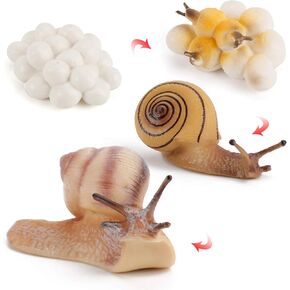 Fantarea 4 PCS Snail Animal Life Cycle Model Figuredractories Party Partypies Cake Toppers Desktop Decoration Development Toys for Boys Girls Kid Choids