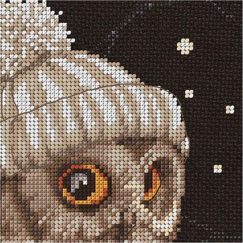 Thea Gouverneur - Counted Cross Stitch Kit - Whoo..Whoo..It's Winter - Aida Black - 16 count - Embroidery Kit for Adults - DMC Embroidery Threads and other Cross Stitch Supplies Included - 743.05 in Kuwait