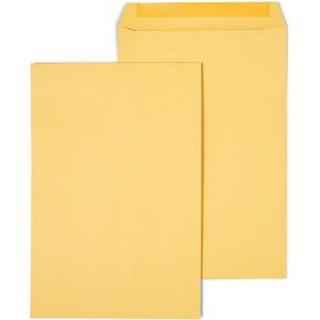 Staples 534768 Gummed Catalog Envelopes 10-Inch L X 15-Inch H Brown 100/Box (Spl534768)