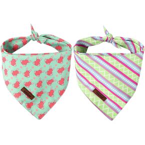 St Patricks Day Dog Bandanas 2 Pack ، Green Flower Clover & Clover Pattern St Patricks Dog Dick Bib for Boy and Girl ، Bandana Holday for Puppy Small Dogs and Cats in Kuwait