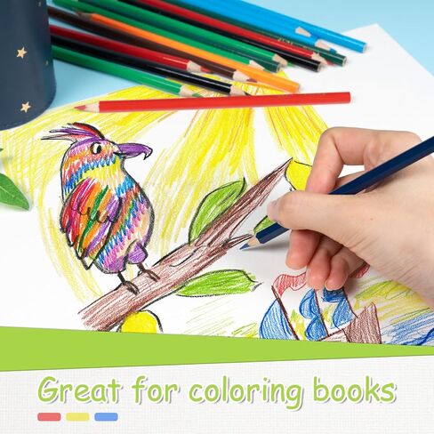 S & E TEACHER'S EDITION 50Pcs Colored Pencils,50 Vibrant Colors, Drawing Coloring Pencils for Kids School Supplies for Teachers in Saudi Arabia