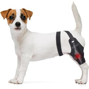 Dog Knee Brace, Strong Support Dog Leg Brace with 2 Metal Strips Adjustable Dog ACL Brace Hind Leg for Large to Small Dogs with Hip Dysplasia, Patella Dislocation (Right Leg, S)