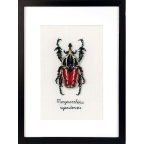 Vervaco Red Beetle, Polyester Cotton Multi-Colour, 40 x 2 x 20 cm