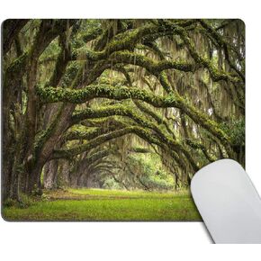 Smooffly Gaming Mouse Pad Custom,Oaks Avenue Charleston SC Plantation Live Oak Trees Landscape Mousepad Non-Slip Rubber Rectangle Mouse Pads for Computers Laptop