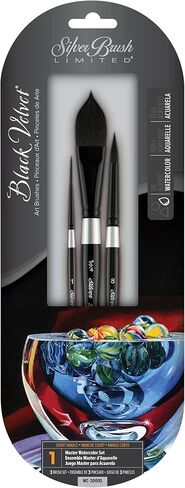 Silver Brush Limited WC-3124ST Black Velvet Voyage Master Travel Set for Watercolor, Gouache, Inks, & Dyes, Set of 4, Sizes 2, 4, 6, and 8 Round Paintbrushes, Short Handle in Saudi Arabia