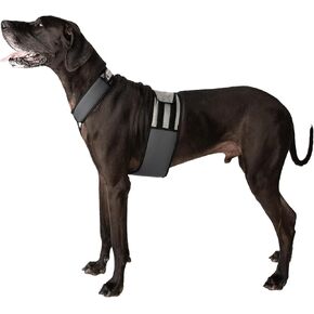Dog Cooling Vest and Cooling Collar - Ice Vest for Dogs (XL)