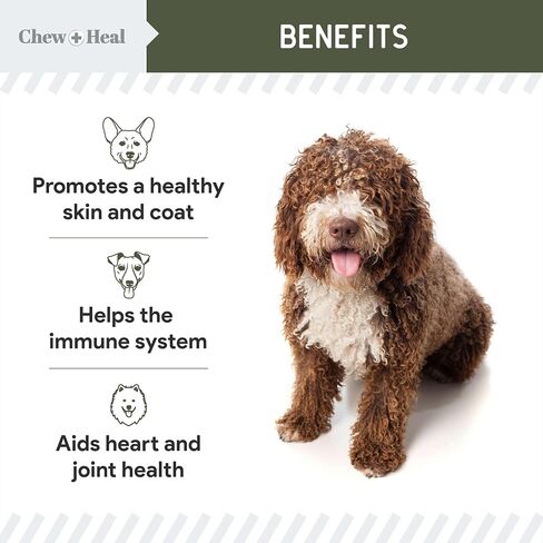 Pure Cod Liver Oil for Dogs - 16 oz - Contains Omega 3, Omega 6, Vitamin A, and Vitamin D to Reduce Itching and Promote Skin and Coat, Heart, Joint, and Immune Health - Pump Cap Bottle in Saudi Arabia