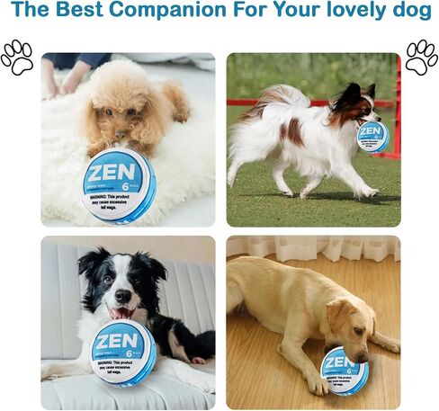 Chill Pup Funny Dog Toy - Parody Plush Squeaky Crinkle Dog Toy (ZENXAN) in Saudi Arabia
