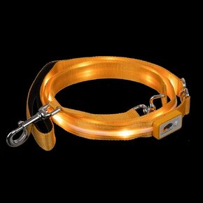 Light Up Dog Leash LED Dog Leash - 1,000 Feet of Visibility - USB Rechargeable Waterproof Glow in The Dark Dog Leash - 6 Foot, Orange