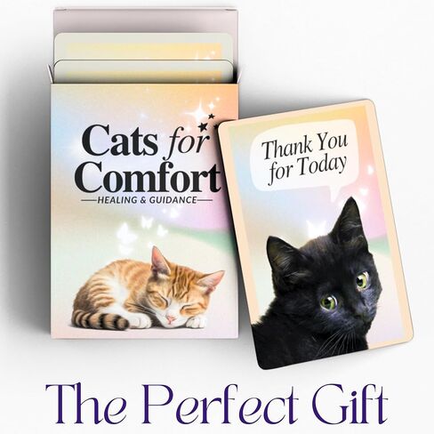 CATCHYOURDREAMS Cats for Comfort - 50 Inspirational Affirmations and Positive Activities for Healing and Peace - Stress Relief and Mindfulness Grief Cat Bereavement Sympathy Gift for Women in Saudi Arabia