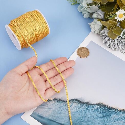 PH PandaHall 32 Yards Silvery Cord Trim 3mm Graduation Honor Cords Window Bow Ties Crafts Rope Decorative Cords for Clothing Lampshade Braided Handfasting Cord Wedding, wh-OCOR-WH0079-88G-US24 in Saudi Arabia