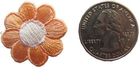 #2987SB lot 4pcs 1 "أبيض أزرق ديزي الزهرة الحديد على رقعة زين للحرف ، والخياطة ، والملابس -1" x1 "بوصة (أزرق) in Kuwait