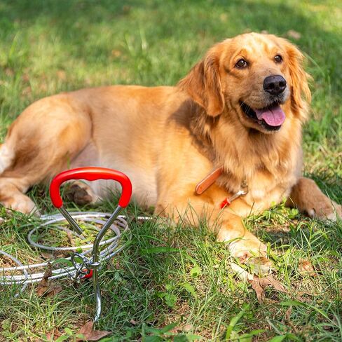 Dog Tie Out Cable and Stake, 30 FT Long Dog Cable Leash with Buffer Spring for Dogs Outside Yard Camping Travel Beach,etc., Heavy Duty Anti Rust Stake for Small Medium Large Dogs in Saudi Arabia