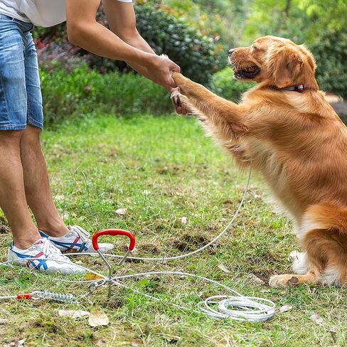 Dog Tie Out Cable and Stake, 30 FT Long Dog Cable Leash with Buffer Spring for Dogs Outside Yard Camping Travel Beach,etc., Heavy Duty Anti Rust Stake for Small Medium Large Dogs in Saudi Arabia