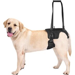 OneTigris Victus Support Harness,Lightweight & Simple Mobility Assistance Vest with Grab Handle | Pet Lifting Rehabilitation Gear | Rear Leg Support Straps