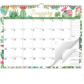 2025 Calendar - 2025 Wall Calendar, Jan.2025 - Dec.2025, 14.8" x 11.5", 12 Monthly Wall Calendar 2025, Perfect for Office & Home - Succulent Cactus