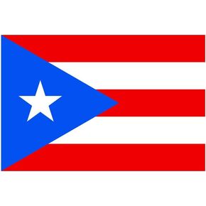 Set of 5 Puerto Rico Flags Iron on Screen Print Fabric Applique Machine Washable Transfer Puerto Rican Flag