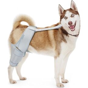 Dog Knee Brace for Torn ACL & Hind Leg Support – Adjustable Dog Hip & Leg Brace for Cruciate Ligament, Arthritis Relief, Joint Stability & Injury Recovery, Color: Black