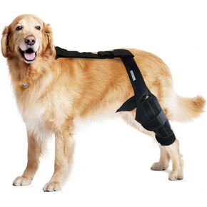 Dog Knee Brace for Torn ACL, Hind and Rear Leg Support, Ligament Injury & Joint Pain Relief, Color: Black