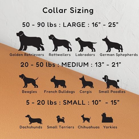 Cute Slide-On Dog Bandana - 2 Pack Bandanas Set with Collar - Durable, Interchangeable, Pet Accessories for Small Dogs - Perfect for Parties, Outdoor & Daily Wear (Comic Design, Small) in Saudi Arabia