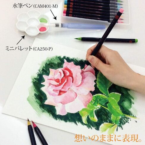 Akashiya CA200/20V Sai Watercolor Brush Pen - 20 Color Set (1, DESIGN 1) in Kuwait