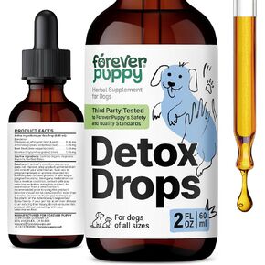 Detox Drops for Dogs - Dandelion Root & Dandelion Leaf Tincture for Liver and Kidney Support - Herbal Detox & Antioxidant Support Supplement for Dogs of All Breeds & Sizes - 2 fl oz