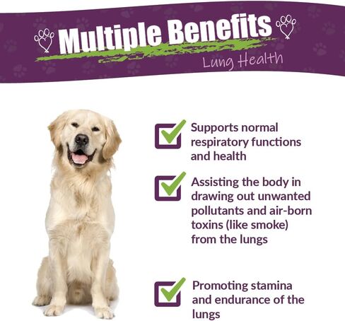Amber Naturalz Numo Care Lung Health Amblement for Dogs | ملحق الكلاب العشبية لدعم الشعب الهوائية وصحة الرئة التنفسية | 1 زجاجة زجاجية أوقية السائل | تم تصنيعها في الولايات المتحدة in Kuwait