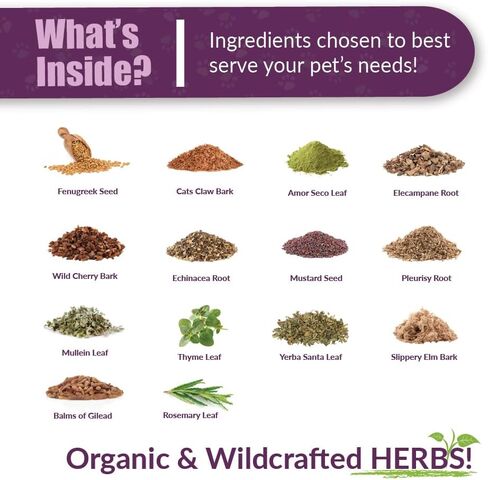 Amber Naturalz Numo Care Lung Health Amblement for Dogs | ملحق الكلاب العشبية لدعم الشعب الهوائية وصحة الرئة التنفسية | 1 زجاجة زجاجية أوقية السائل | تم تصنيعها في الولايات المتحدة in Kuwait