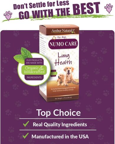 Amber Naturalz Numo Care Lung Health Amblement for Dogs | ملحق الكلاب العشبية لدعم الشعب الهوائية وصحة الرئة التنفسية | 1 زجاجة زجاجية أوقية السائل | تم تصنيعها في الولايات المتحدة in Kuwait