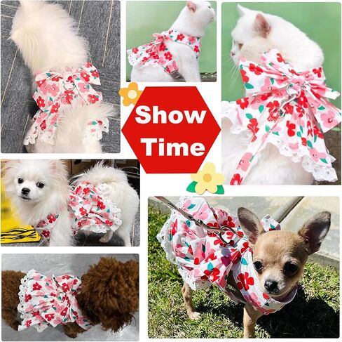 ABRRLO لطيف الأزهار الكلب تسخير اللباس والمقود مجموعة للكلاب الصغيرة القطط فتاة جرو Bowknot الأميرة عيد ميلاد اللباس الصيف الإناث الحيوانات الأليفة كلب صغير الملابس الدانتيل الكلب هريرة ملابس الملابس (الأخضر، L) in Kuwait