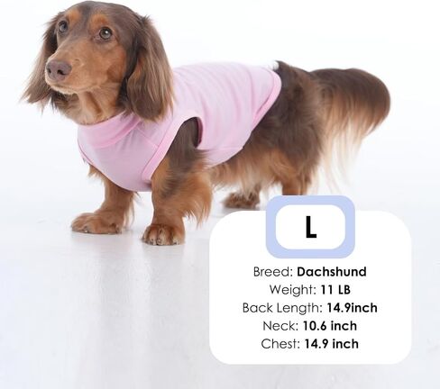 MIGOHI 2 Pack Lightweight Small Dog Shirts,Soft Dog T-Shirts for Small Dogs,Pink Shirt for Dogs,Puppy Shirts for Small Dogs Girl Boy,Dog Shirts for Camping,Toy Poodle,Shih Tzu,Pink Purple,M in Saudi Arabia