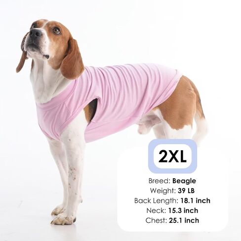 MIGOHI 2 Pack Lightweight Small Dog Shirts,Soft Dog T-Shirts for Small Dogs,Pink Shirt for Dogs,Puppy Shirts for Small Dogs Girl Boy,Dog Shirts for Camping,Toy Poodle,Shih Tzu,Pink Purple,M in Saudi Arabia