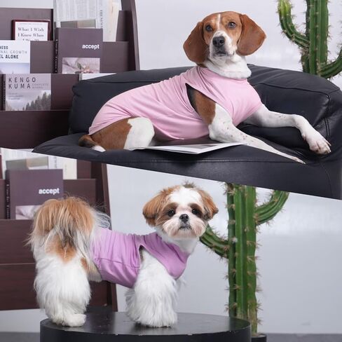 MIGOHI 2 Pack Lightweight Small Dog Shirts,Soft Dog T-Shirts for Small Dogs,Pink Shirt for Dogs,Puppy Shirts for Small Dogs Girl Boy,Dog Shirts for Camping,Toy Poodle,Shih Tzu,Pink Purple,M in Saudi Arabia