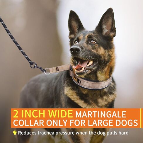 Mayerzon 2 Inch Wide Martingale Collar for Large Medium Dogs, Reflective Walking Training No Pull Collar for Pitbull German Shepherd Rottweiler Doberman, Adjustable Heavy Duty Thick Nylon with Buckle in Kuwait