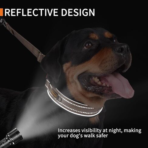 Mayerzon 2 Inch Wide Martingale Collar for Large Medium Dogs, Reflective Walking Training No Pull Collar for Pitbull German Shepherd Rottweiler Doberman, Adjustable Heavy Duty Thick Nylon with Buckle in Kuwait