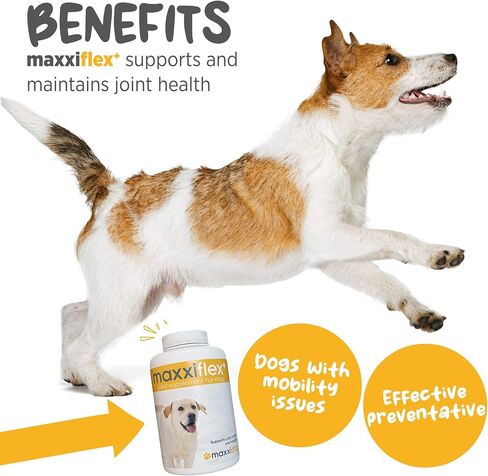 maxxipaws - maxxiflex+ Hip & Joint Supplement for Dogs with Glucosamine, Chondroitin, MSM & Collagen | Mobility, Flexibility & Discomfort Support | Senior, Adult & All Breeds | 120 Tablets in Saudi Arabia