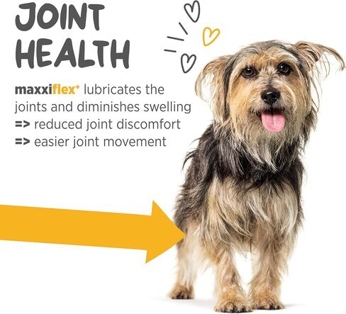 maxxipaws - maxxiflex+ Hip & Joint Supplement for Dogs with Glucosamine, Chondroitin, MSM & Collagen | Mobility, Flexibility & Discomfort Support | Senior, Adult & All Breeds | 120 Tablets in Saudi Arabia