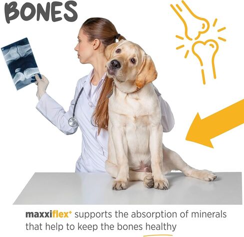 maxxipaws - maxxiflex+ Hip & Joint Supplement for Dogs with Glucosamine, Chondroitin, MSM & Collagen | Mobility, Flexibility & Discomfort Support | Senior, Adult & All Breeds | 120 Tablets in Saudi Arabia