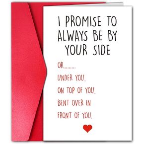 Funny Anniversary Card for Boyfriend Husband, I Promise to Always Be By Your Side Card, Hilarious Gift for First Second Third Year Anniversary (Top or Under)