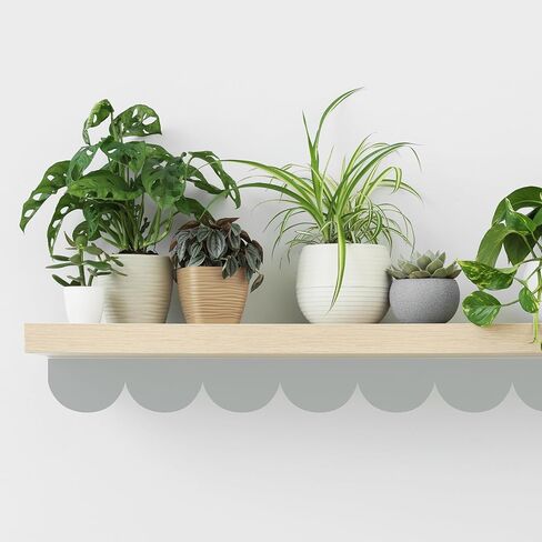 RoomMates Teal Peel and Stick Scallop Border Decal, RMDM5546 in Kuwait