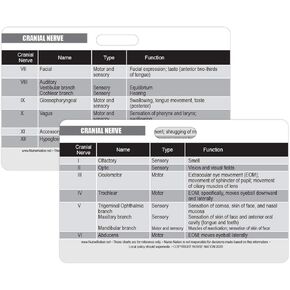 Cranial Nerve Chart Reference Horizontal Badge Card - Excellent Resource for Nurses, Nursing Clinicals, and RN Students - Great Nursing School Supplies