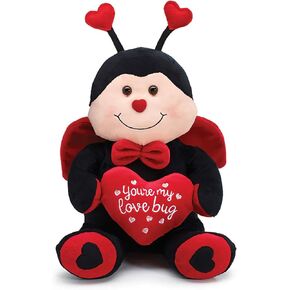 Valentine's Day Ladybug